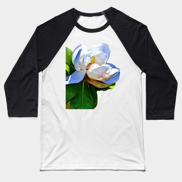 Magnolia Baseball T-Shirt by RoxanneG